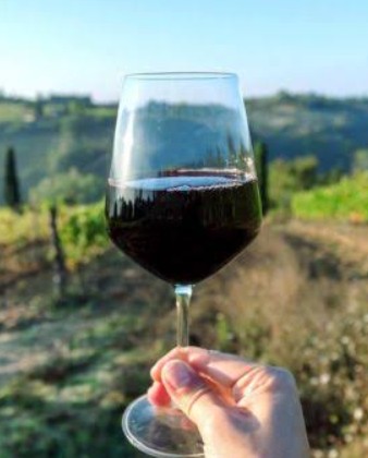 Vino Malbec