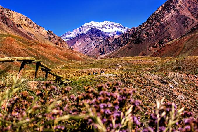 Mendoza