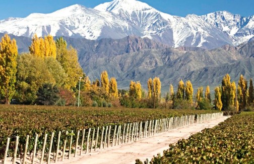 Valle de Uco