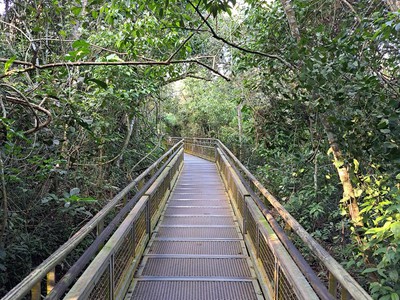 Sendero Inferior