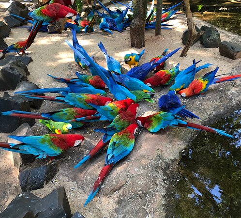 Parque das Aves
