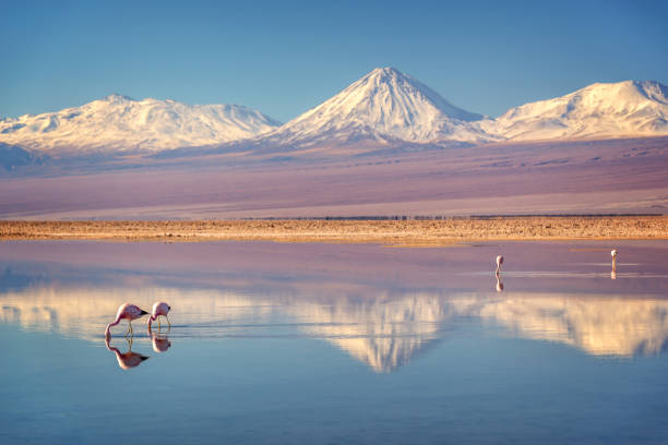 Salar de Atacama