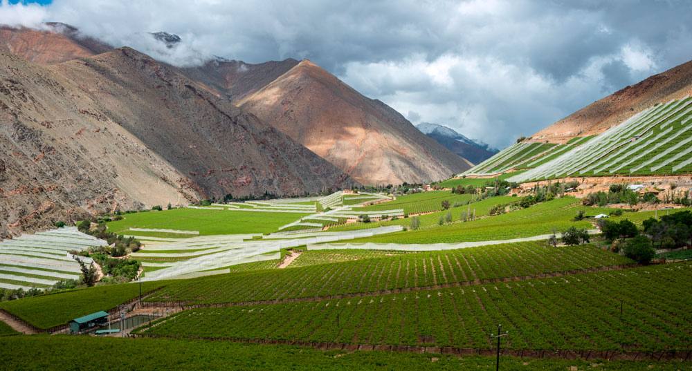Valle de Elqui