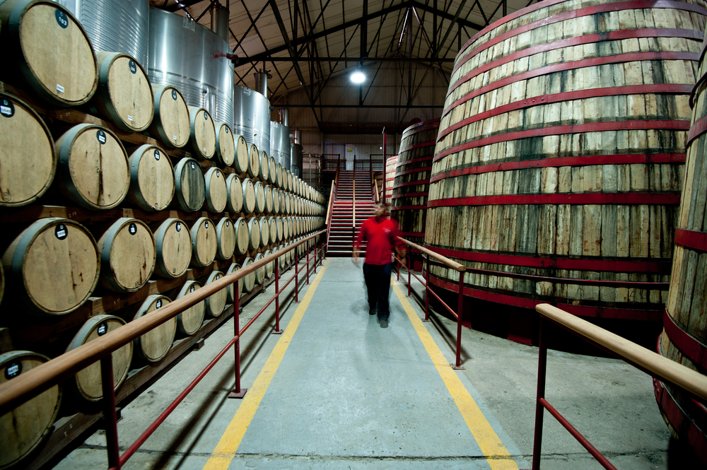 Bodegas de pisco