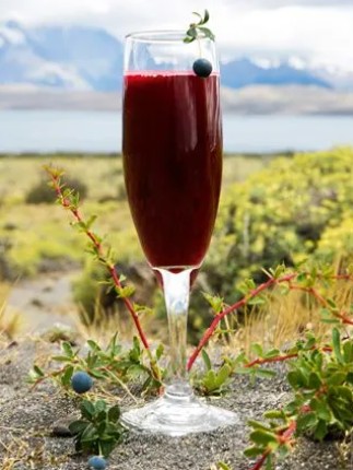 Calafate Sour