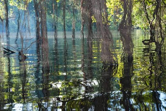 Lago Tarapoto
