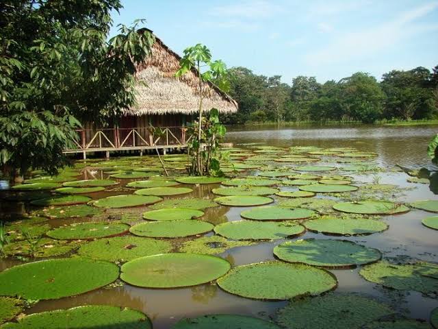 Parque Nacional Amacayacu