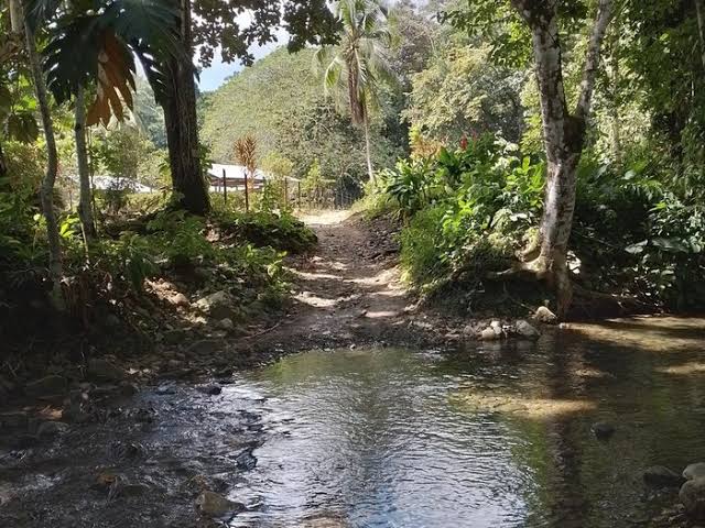 El Cielo Nature Reserve