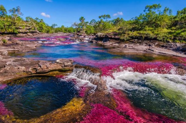 Caño Cristales