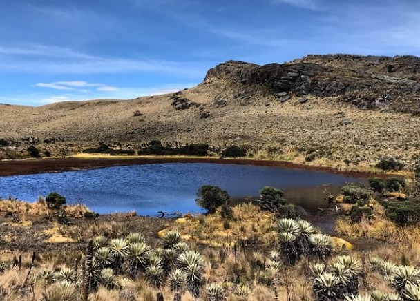 Parque Nacional Natural Sumapaz