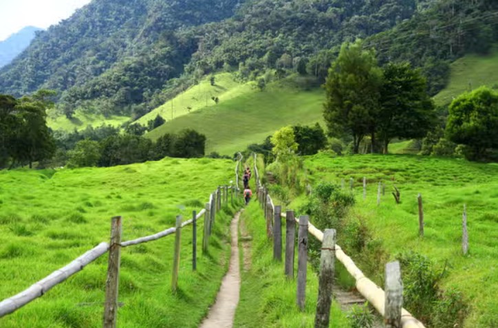 Senderismo a Cocora