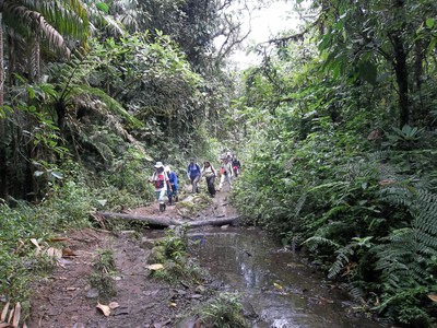 Sendero Ecológico El Cedral