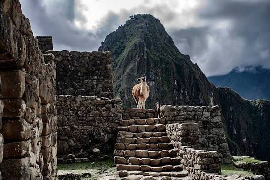 Huayna Picchu