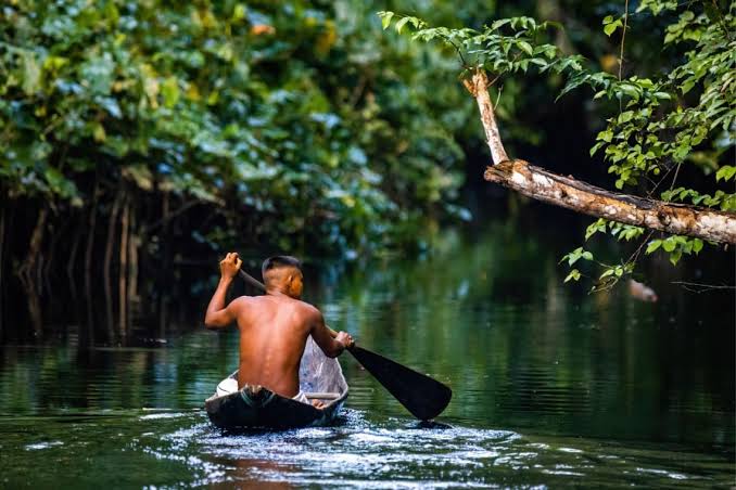 Ruta de la Amazonía Brasileña