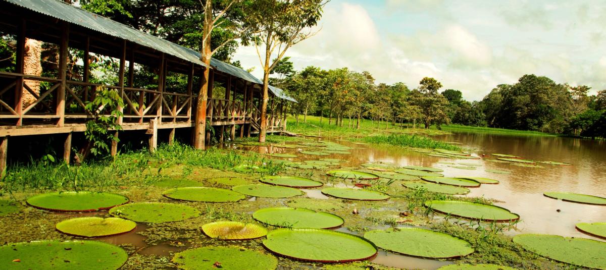 Ruta de la Amazonía