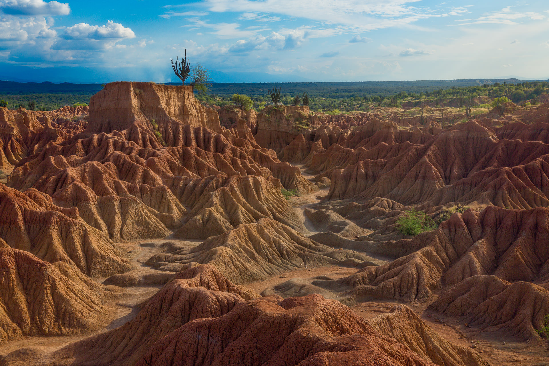 Ruta del Desierto y Estrellas de Colombia