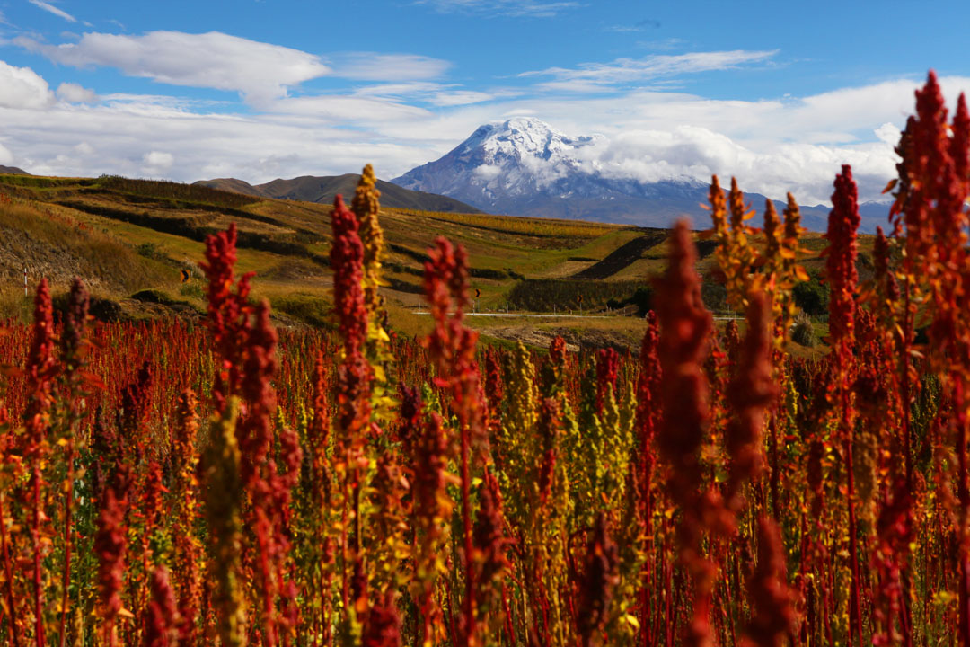Ruta Esencial de Ecuador