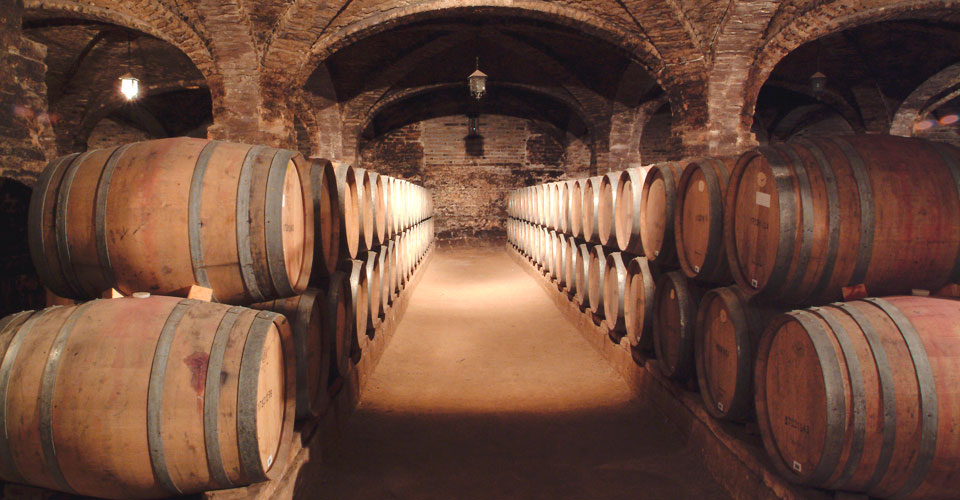 Ruta del Vino de Chile
